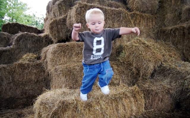 Things to do with kids - Fort Worth, TX (Hay Bale Pyramid)