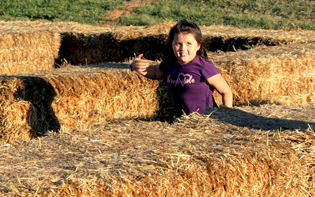 Things to do with kids - Fort Worth, TX (Hay Bale Maze)
