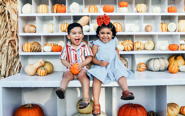 Thousands of pumpkins and fall décor - Fort Worth, Texas